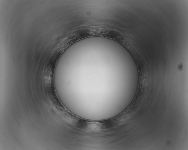 X0000115770226200911271148