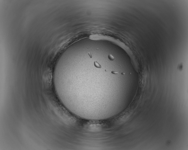 X0000115770228200911271148