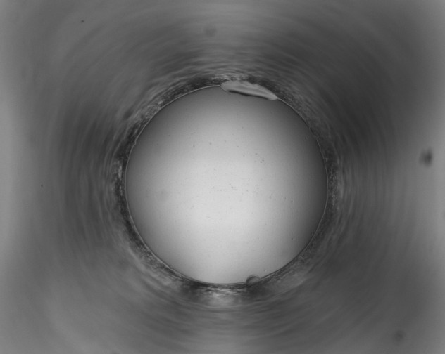 X0000115770229200911271148