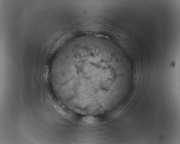 X0000115770231200911271148