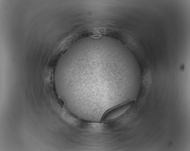 X0000115770233200911271148