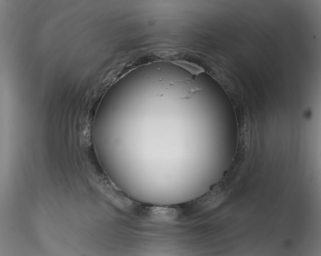 X0000115770234200911271148