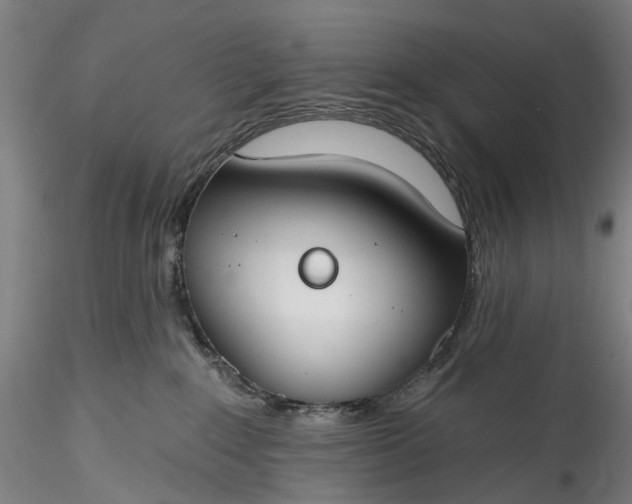 X0000115770235200911271148