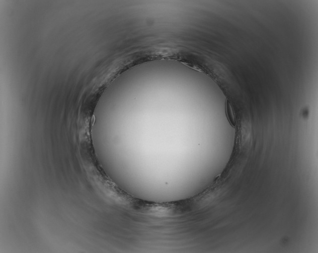 X0000115770236200911271148