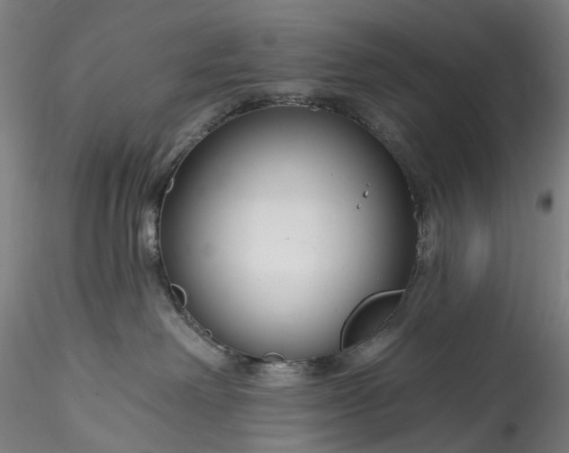 X0000115770238200911271148