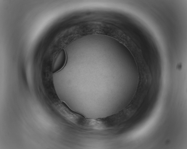 X0000115770239200911271148