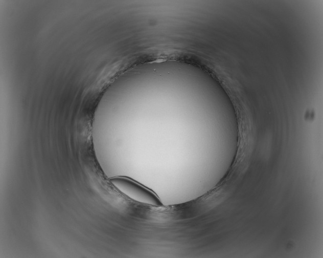 X0000115770240200911271148