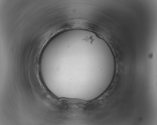 X0000115770241200911271147