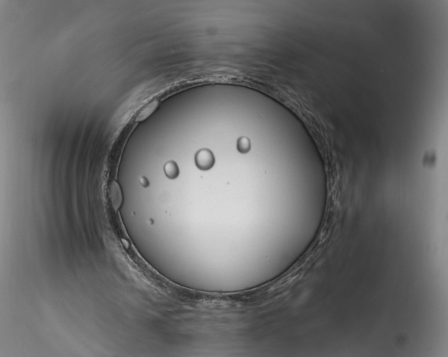 X0000115770242200911271147