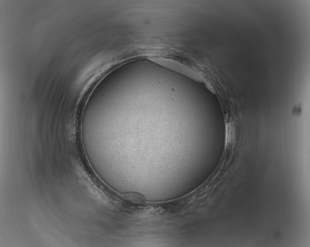 X0000115770243200911271147