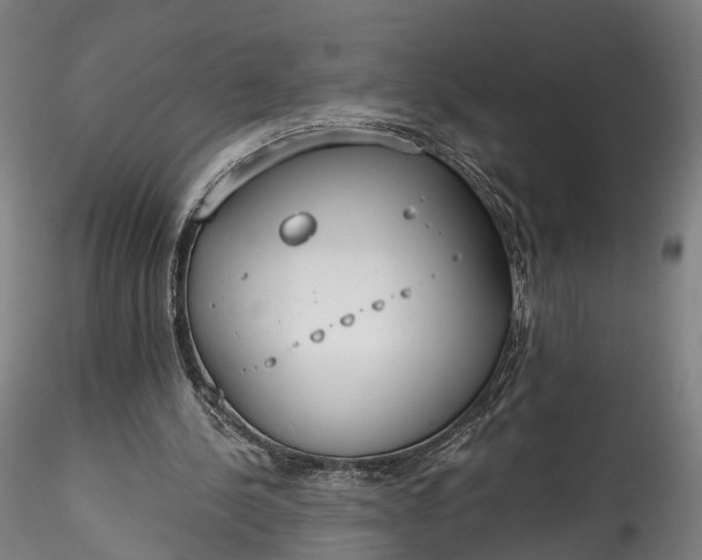 X0000115770244200911271147