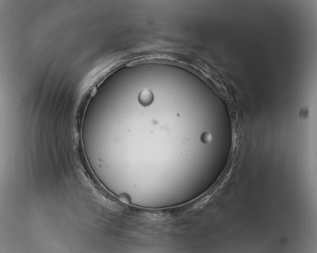 X0000115770245200911271147