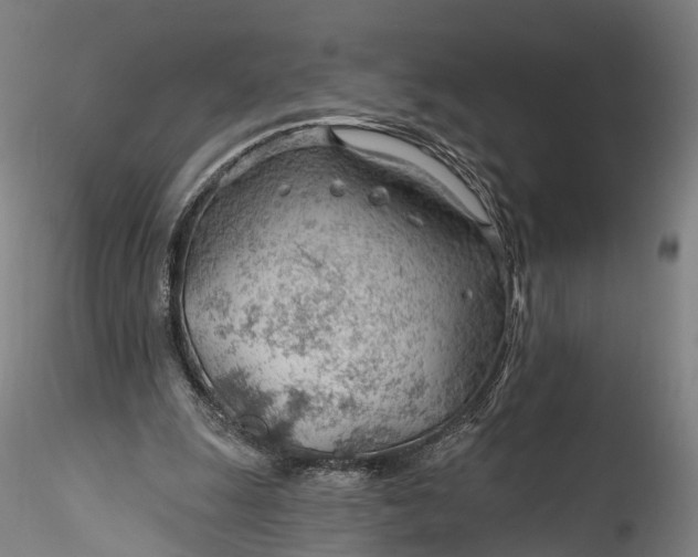 X0000115770247200911271147