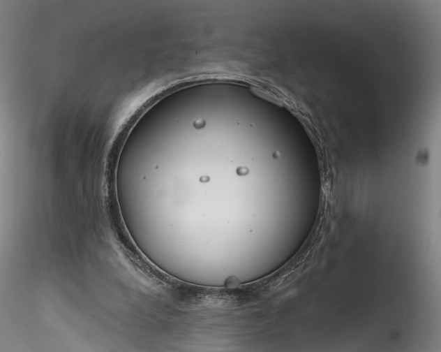 X0000115770248200911271147