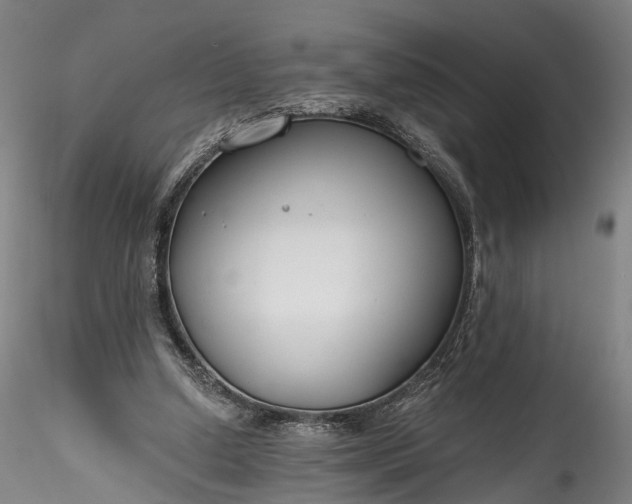 X0000115770250200911271147