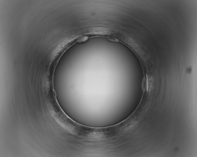 X0000115770252200911271147