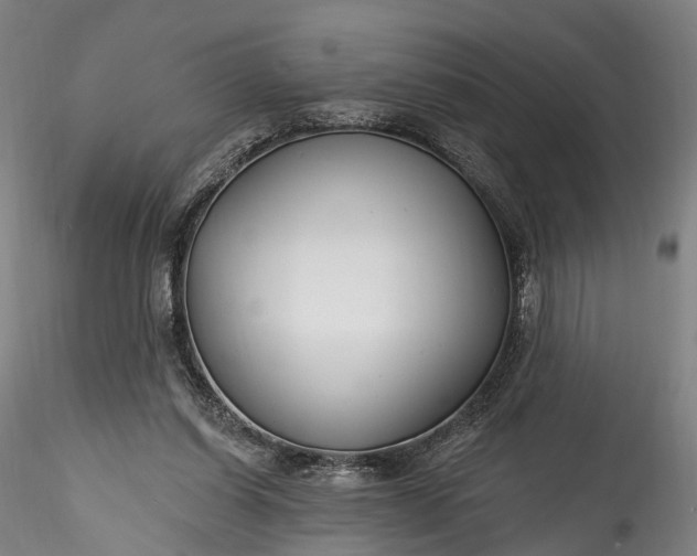 X0000115770254200911271147