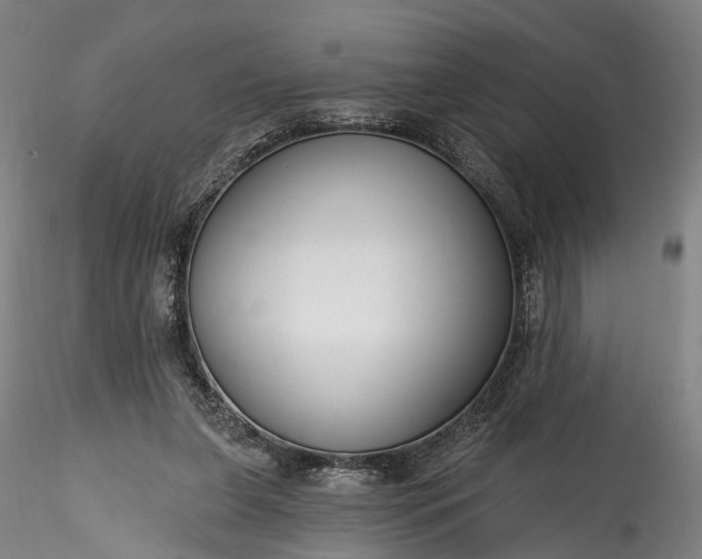 X0000115770255200911271147