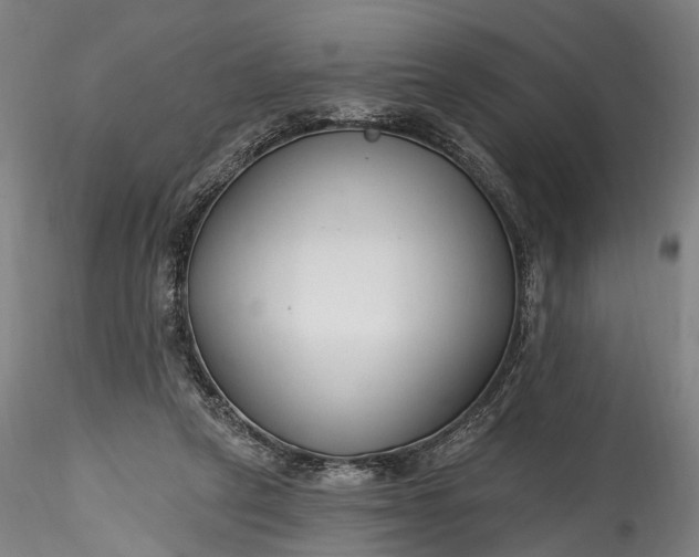 X0000115770257200911271147