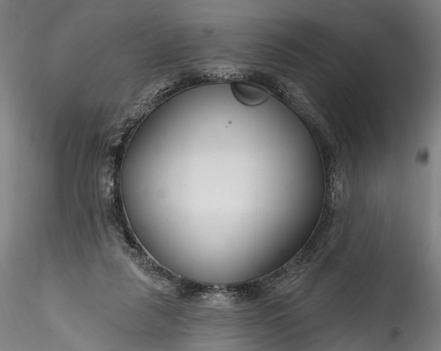 X0000115770259200911271147