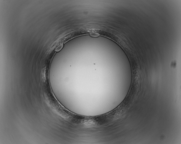 X0000115770262200911271147