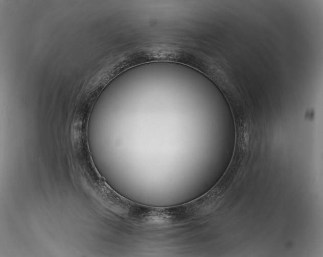 X0000115770263200911271147