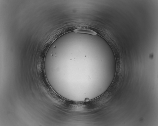 X0000115770266200911271147