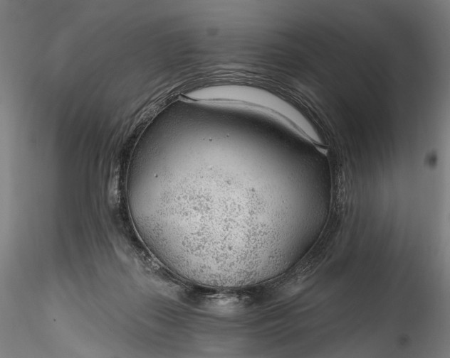 X0000115770267200911271147