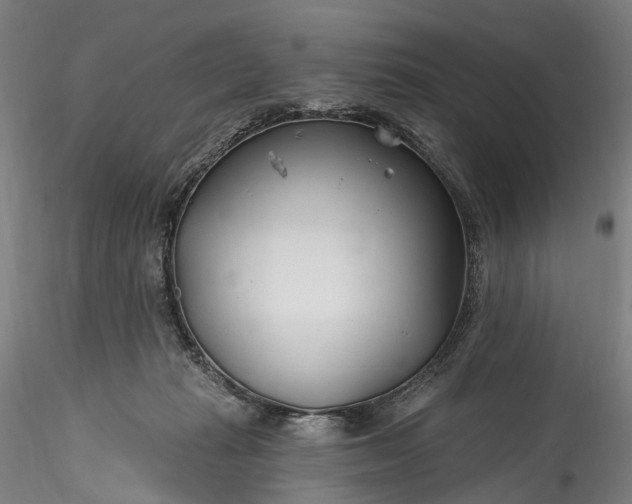 X0000115770269200911271147