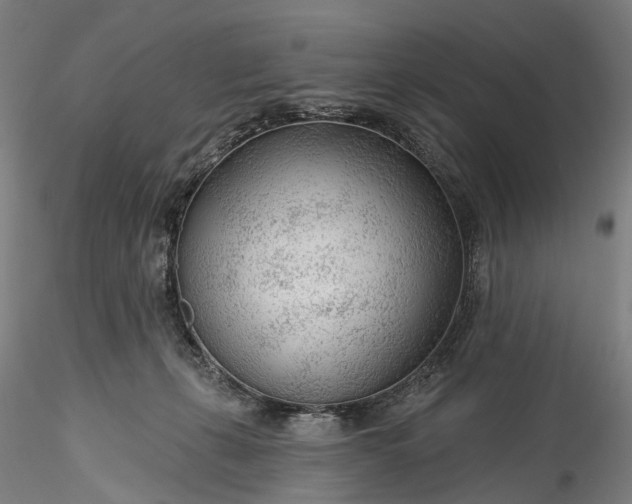 X0000115770271200911271147