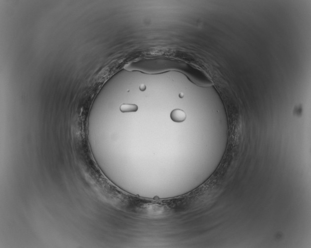 X0000115770272200911271147