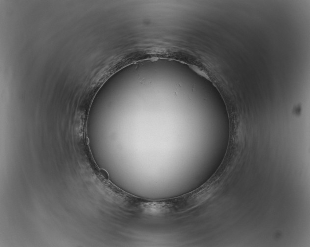 X0000115770273200911271147