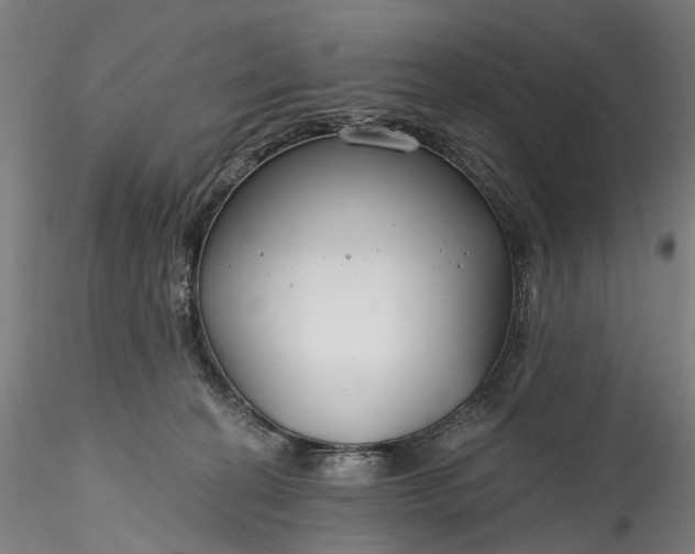 X0000115770274200911271147