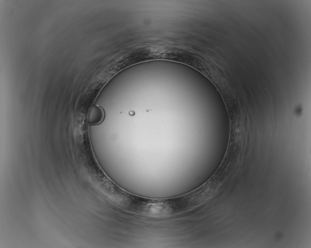 X0000115770275200911271148