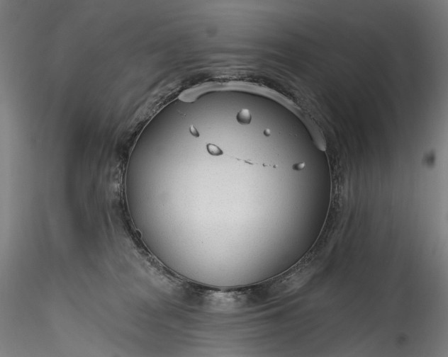 X0000115770277200911271148