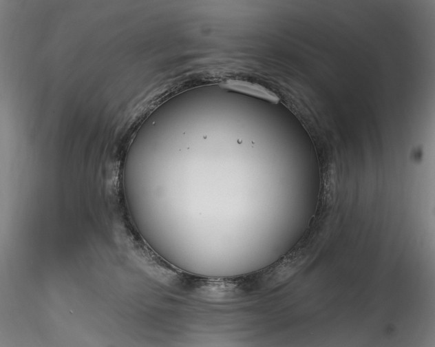 X0000115770278200911271148