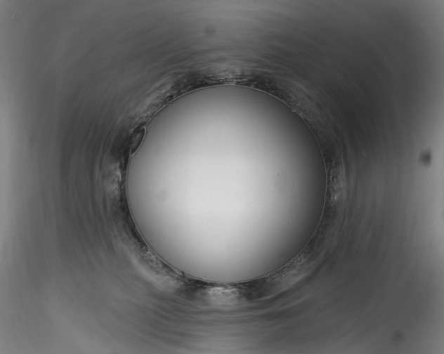 X0000115770279200911271148