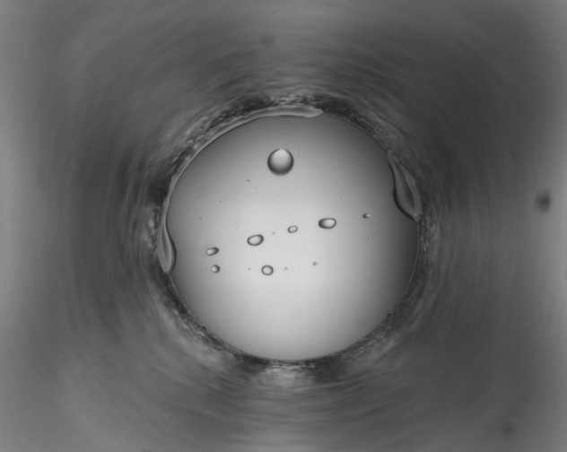 X0000115770280200911271148