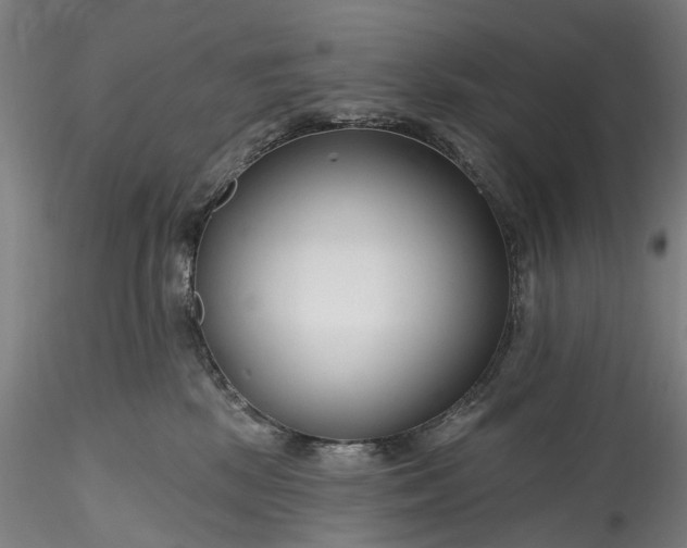 X0000115770281200911271148