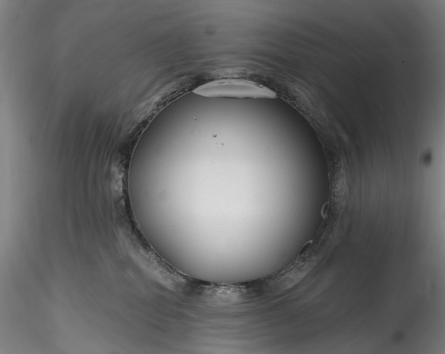 X0000115770282200911271148