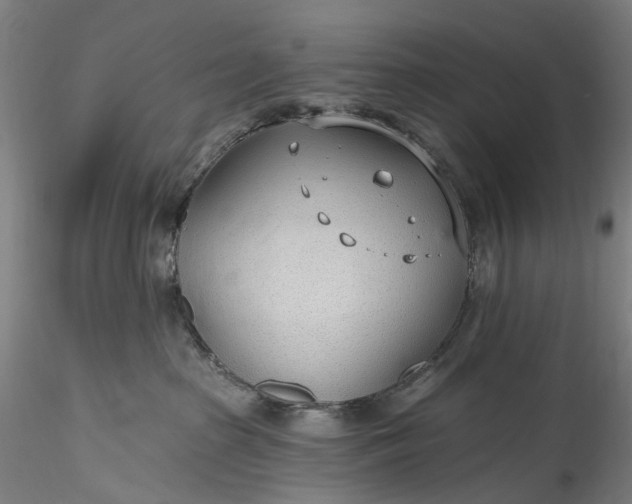 X0000115770285200911271148