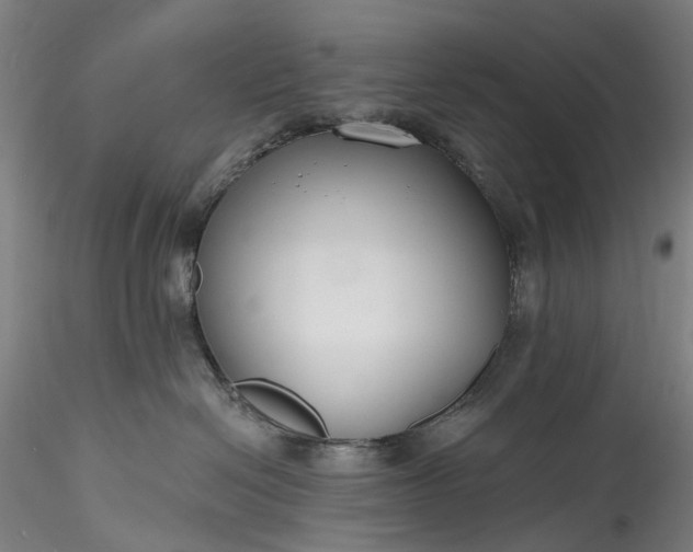 X0000115770286200911271148