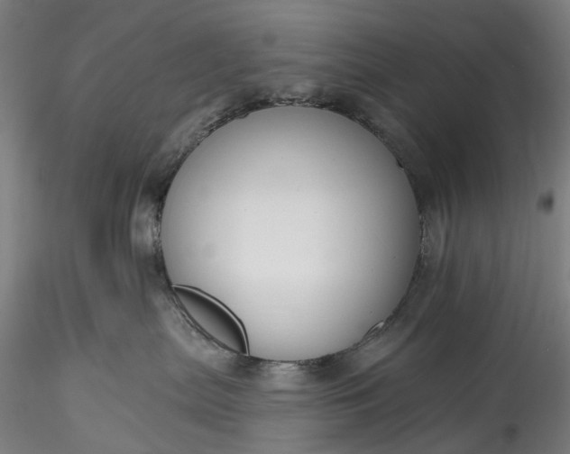 X0000115770287200911271148