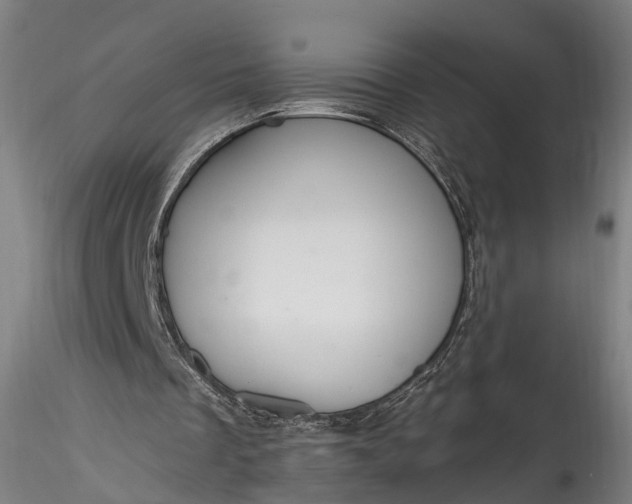 X0000115770289200911271147