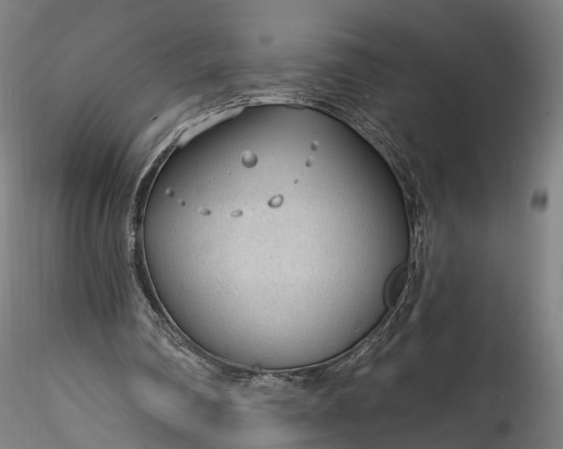 X0000115770290200911271147