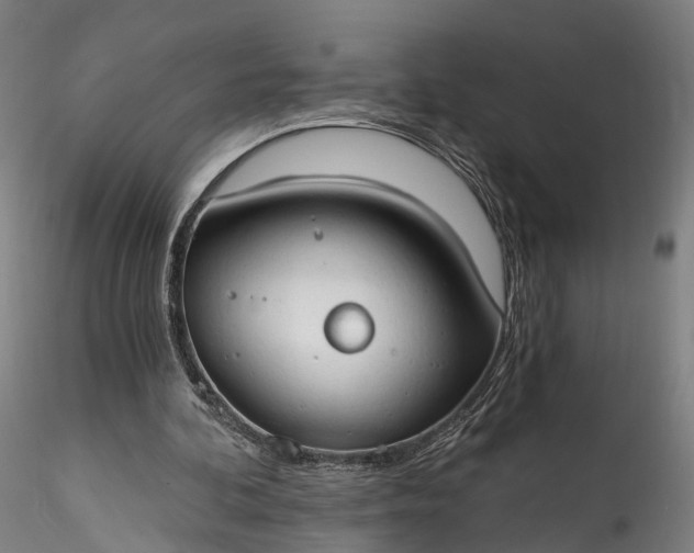 X0000115770292200911271147