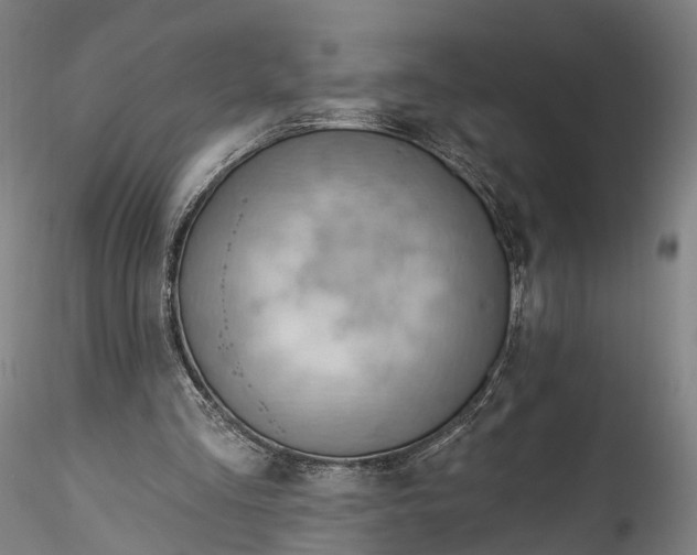 X0000115770293200911271147