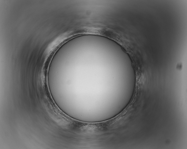 X0000115770294200911271147