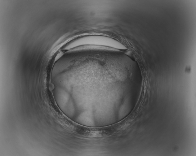 X0000115770295200911271147