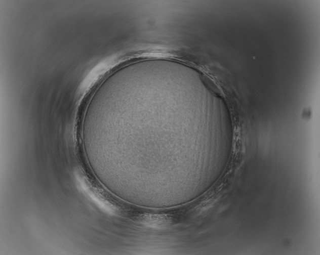 X0000115770296200911271147